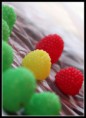 /album/fotogaleria/difo-00028-jpg/